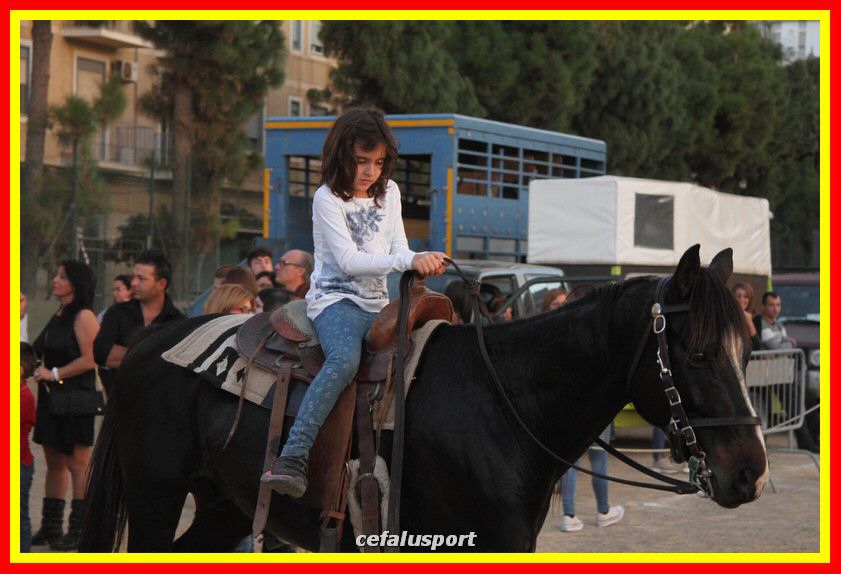 161106 equestre 149_tn.jpg